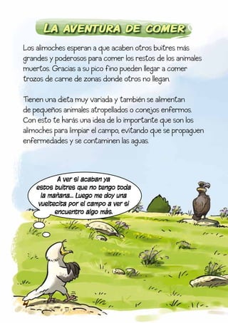 La aventura de comer
Los alimoches esperan a que acaben otros buitres más
grandes y poderosos para comer los restos de los animales
muertos. Gracias a su pico fino pueden llegar a comer
trozos de carne de zonas donde otros no llegan.

Tienen una dieta muy variada y también se alimentan
de pequeños animales atropellados o conejos enfermos.
Con esto te harás una idea de lo importante que son los
alimoches para limpiar el campo, evitando que se propaguen
enfermedades y se contaminen las aguas.



            A ver si acaban ya
    estos buitres que no tengo toda
      la mañana… Luego me doy una
     vueltecita por el campo a ver si
           encuentro algo más.




4
 