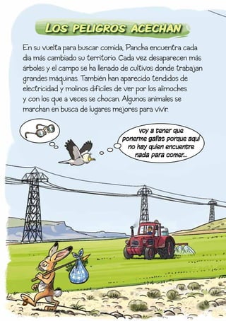 Los peligros acechan
En su vuelta para buscar comida, Pancha encuentra cada
día más cambiado su territorio. Cada vez desaparecen más
árboles y el campo se ha llenado de cultivos donde trabajan
grandes máquinas. También han aparecido tendidos de
electricidad y molinos difíciles de ver por los alimoches
y con los que a veces se chocan. Algunos animales se
marchan en busca de lugares mejores para vivir.

                                      voy a tener que
                                ponerme gafas porque aquí
                                  no hay quien encuentre
                                    nada para comer…




6
 