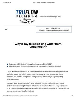 Why is my toilet leaking water from underneath? | PDF