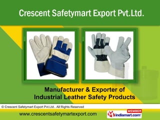 Manufacturer & Exporter of Industrial Leather Safety Products 