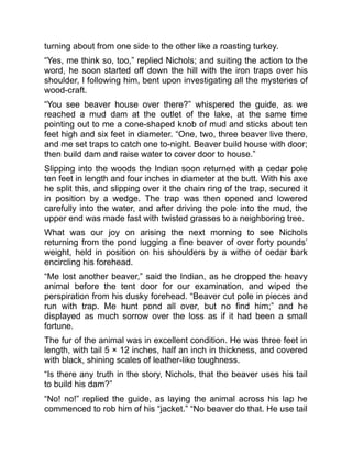 turning about from one side to the other like a roasting turkey.
“Yes, me think so, too,” replied Nichols; and suiting the action to the
word, he soon started off down the hill with the iron traps over his
shoulder, I following him, bent upon investigating all the mysteries of
wood-craft.
“You see beaver house over there?” whispered the guide, as we
reached a mud dam at the outlet of the lake, at the same time
pointing out to me a cone-shaped knob of mud and sticks about ten
feet high and six feet in diameter. “One, two, three beaver live there,
and me set traps to catch one to-night. Beaver build house with door;
then build dam and raise water to cover door to house.”
Slipping into the woods the Indian soon returned with a cedar pole
ten feet in length and four inches in diameter at the butt. With his axe
he split this, and slipping over it the chain ring of the trap, secured it
in position by a wedge. The trap was then opened and lowered
carefully into the water, and after driving the pole into the mud, the
upper end was made fast with twisted grasses to a neighboring tree.
What was our joy on arising the next morning to see Nichols
returning from the pond lugging a fine beaver of over forty pounds’
weight, held in position on his shoulders by a withe of cedar bark
encircling his forehead.
“Me lost another beaver,” said the Indian, as he dropped the heavy
animal before the tent door for our examination, and wiped the
perspiration from his dusky forehead. “Beaver cut pole in pieces and
run with trap. Me hunt pond all over, but no find him;” and he
displayed as much sorrow over the loss as if it had been a small
fortune.
The fur of the animal was in excellent condition. He was three feet in
length, with tail 5 × 12 inches, half an inch in thickness, and covered
with black, shining scales of leather-like toughness.
“Is there any truth in the story, Nichols, that the beaver uses his tail
to build his dam?”
“No! no!” replied the guide, as laying the animal across his lap he
commenced to rob him of his “jacket.” “No beaver do that. He use tail
 