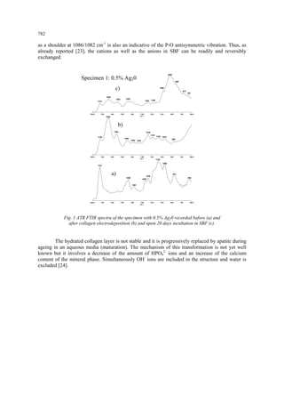 782 
as a shoulder at 1086/1082 cm-1 is also an indicative of the P-O antisymmetric vibration. Thus, as already reported [23], the cations as well as the anions in SBF can be readily and reversibly exchanged. 
1800.017001600150014001300120011001000900800.0100203040506070809101119cm-1 17211436138112651238113910689738201800.017001600150014001300120011001000900800.0200406081012141618202250cm-1 17201638155614491382133912391191113410759801800.017001600150014001300120011001000900800.006010203040506070885cm-1 17211635154314421242119010861020958873831 Fig. 1 ATR FTIR spectra of the specimen with 0.5% Ag20 recorded before (a) and after collagen electrodeposition (b) and upon 20 days incubation in SBF (c). The hydrated collagen layer is not stable and it is progressively replaced by apatite during ageing in an aqueous media (maturation). The mechanism of this transformation is not yet well known but it involves a decrease of the amount of HPO42- ions and an increase of the calcium content of the mineral phase. Simultaneously OH- ions are included in the structure and water is excluded [24]. 
Specimen 1: 0.5% Ag20 
a) 
b) 
c)  