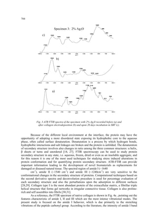 784 
1800.017001600150014001300120011001000900800.006020304050607080902cm-1 1721143613841266123611851139111610659819138361800.017001600150014001300120011001000900800.320051015202590cm-1 1719163215531453133912381203107910321800.017001600150014001300120011001000900800.0481015202530354028cm-1 17201630154414201240119010821020958880840 Fig. 3 ATR FTIR spectra of the specimen with 2% Ag20 recorded before (a) and after collagen electrodeposition (b) and upon 20 days incubation in SBF (c). Because of the different local environment at the interface, the protein may have the opportunity of adopting a more disordered state exposing its hydrophobic core to the aqueous phase, often called surface denaturation. Denaturation is a process by which hydrogen bonds, hydrophobic interactions and salt linkages are broken and the protein is unfolded. The denaturation of secondary structure involves also changes in ratio among the three common structures: α helix, β sheets or turns and unordered [14, 27]. FTIR spectroscopy can be used to study protein secondary structure in any state, i.e. aqueous, frozen, dried or even as an insoluble aggregate, and for this reason it is one of the most used techniques for studying stress induced alterations in protein conformation and for quantifying protein secondary structure. ATR-FTIR can provide important information leading to the development of novel biomaterials as replacements for damaged or diseased natural tissue. The spectral region of amide I (~1640 cm-1), amide II (~1540 cm-1) and amide III (~1240cm-1) are very sensitive to the conformational changes in the secondary structure of proteins. Computational techniques based on the second derivative spectra and deconvolution procedure is used for percentage evaluation of each secondary structure and also the perturbations upon the adsorption to different surfaces [28,29]. Collagen type I is the most abundant protein of the extracellular matrix, a fibrillar triple helical structure that forms gel networks in irregular connective tissue. Collagen is also proline- rich and self assembles into fibrils [30,31]. 
As a reference, the FTIR spectrum of native collagen is shown in Fig. 4a , pointing out the features characteristic of amide I, II and III which are the most intense vibrational modes. The present study is focused on the amide I behavior, which is due primarily to the stretching vibrations of the peptide carbonyl group. According to the literature, the intensity of amide I band 
a) 
b) 
c) 
Specimen 3: 2% Ag2O  