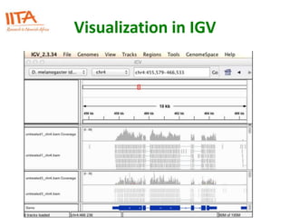 Visualization in IGV
 
