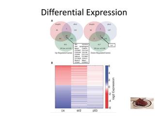 Differential Expression
 