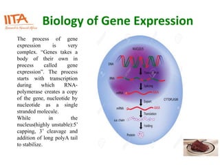Biology of Gene Expression
The process of gene
expression is very
complex. “Genes takes a
body of their own in
process called gene
expression”. The process
starts with transcription
during which RNA-
polymerase creates a copy
of the gene, nucleotide by
nucleotide as a single
stranded molecule.
While in the
nucleus(highly unstable):5’
capping, 3’ cleavage and
addition of long polyA tail
to stabilize.
 