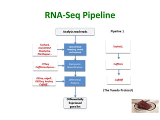 RNA-Seq Pipeline
 