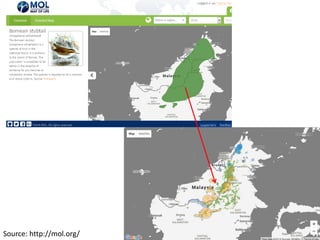 Source: http://mol.org/
 