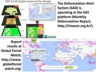 The Deforestation Alert
System (SAD) is
operating in the GEE
platform (Monthly
Deforestation Report;
http://imazon.org.br/).
Report
results at
Global Forest
Watch;
http://www.
globalforest
watch.org/
 