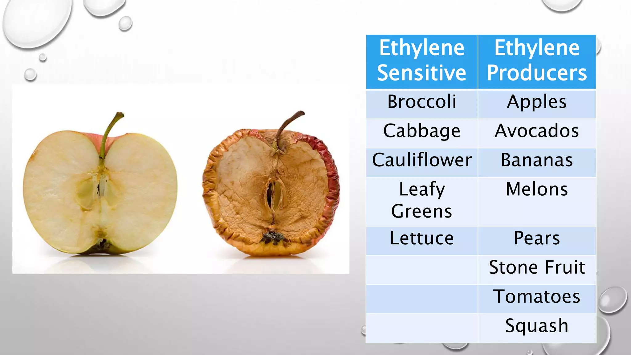 Ethylene
Sensitive
Ethylene
Producers
Broccoli Apples
Cabbage Avocados
Cauliflower Bananas
Leafy
Greens
Melons
Lettuce Pears
Stone Fruit
Tomatoes
Squash
 