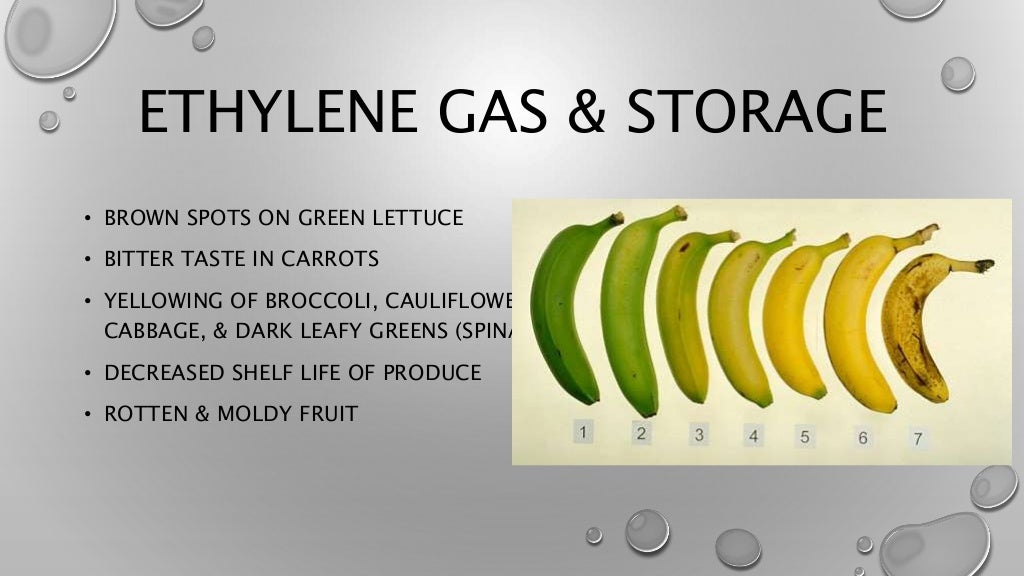 Ethylene Gas Presentation