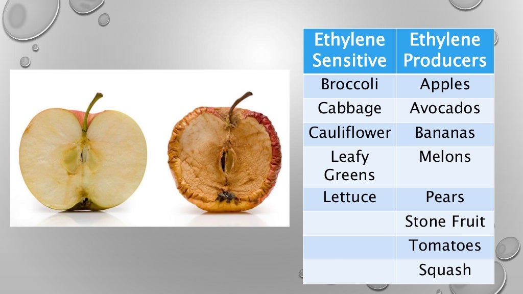 Ethylene Gas Presentation