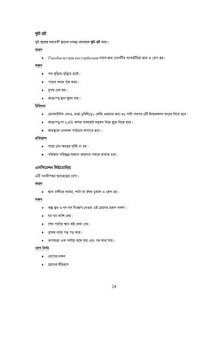 24
dzU-iU
`yB ¶z‡ii ga¨eZx© ¯’v‡bi Pvgov cÖ`vn‡K dzU-iU e‡j|
KviY
• Fusobacterium necrophorum bvgK MÖvg †b‡MwUf e¨vK‡Uwiqv ×vi G †ivM nq|
j¶Y
• cï Lywo‡q Lywo‡q nv‡U|
• cv‡qi ¶‡Z cyuR R‡g|
• `yMÜ †ei nq|
• Avμvš— ¯’vb dy‡j hvq|
wPwKrmv
• †ibvgvBwmb GjG, gvÎv 1wgwj/10 †KwR IR‡bi Rb¨ 48 N›Uv cici 3wU Bb‡RKkb gvs‡m w`‡Z n‡e|
• Avμvš— cv 2.5% Kcvi mvj‡dU mjykb w`‡q ay‡q w`‡Z n‡e|
• ¶Z¯’v‡b †bevbj cvDWvi jvMv‡Z n‡e|
cÖwZ‡iva
• cv‡q †hb ¶‡Zi m„w÷ bv nq|
• cwi¯‹vi cwi”Qbœ ïK‡bv RvqMvq cï‡K ivL‡Z n‡e|
Gmwc‡ikb wbD‡gvwbqv
GwU Mev`xcïi k¦vmZ‡š¿i †ivM|
KviY
• k¦vm bvjx‡Z Lvevi, cvwb ev Jla XyK‡j G †ivM nq|
j¶Y
• Aí R¡i I Nb Nb wbtk¦vm †bIqv GB †iv‡Mi cÖavb j¶Y|
• Nb Nb Kvwk †`q|
• ‡kl chv©‡q k¦vm Kó †`Lv †`q|
• ey‡Ki g‡a¨ Mo Mo K‡i|
• ZvcgvÎv GK chv©‡q K‡g hvq Ges cï gviv hvq|
‡ivM wbY©q
• †iv‡Mi j¶Y
• ‡iv‡Mi BwZnvm
 