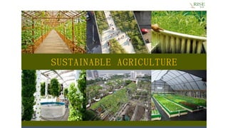 Urban AgricultureSUSTAINABLE AGRICULTURE
 