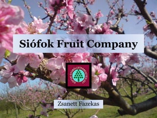Siófok Fruit Company
Zsanett Fazekas
 