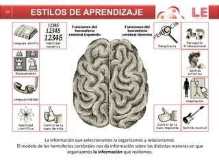 31 ESTILOS DE APRENDIZAJE 
La información que seleccionamos la organizamos y relacionamos. 
El modelo de los hemisferios cerebrales nos da información sobre las distintas maneras en que 
organizamos la información que recibimos. 
 
