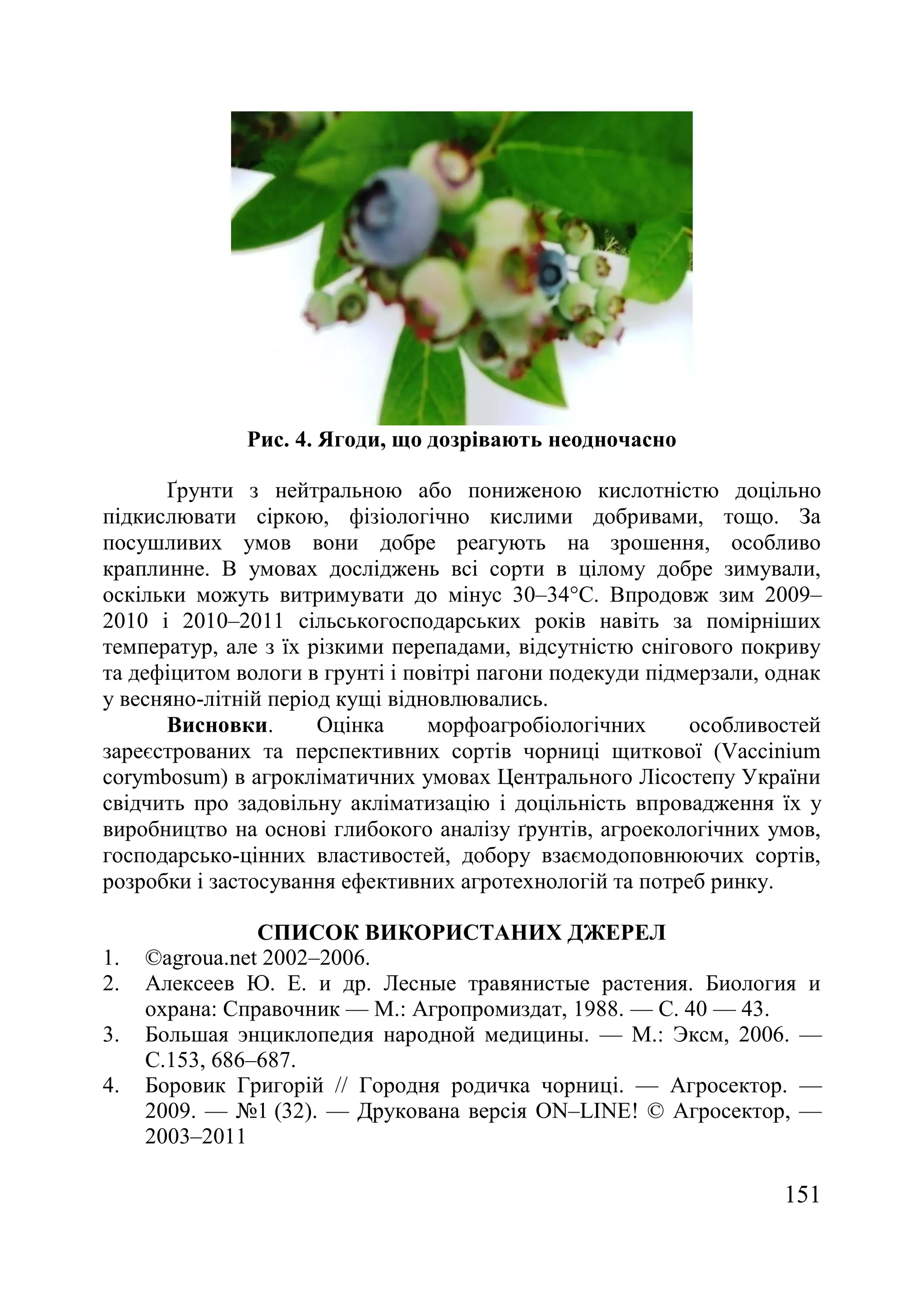 151
Рис. 4. Ягоди, що дозрівають неодночасно
Ґрунти з нейтральною або пониженою кислотністю доцільно
підкислювати сіркою, фізіологічно кислими добривами, тощо. За
посушливих умов вони добре реагують на зрошення, особливо
краплинне. В умовах досліджень всі сорти в цілому добре зимували,
оскільки можуть витримувати до мінус 30–34°С. Впродовж зим 2009–
2010 і 2010–2011 сільськогосподарських років навіть за помірніших
температур, але з їх різкими перепадами, відсутністю снігового покриву
та дефіцитом вологи в грунті і повітрі пагони подекуди підмерзали, однак
у весняно-літній період кущі відновлювались.
Висновки. Оцінка морфоагробіологічних особливостей
зареєстрованих та перспективних сортів чорниці щиткової (Vaccinium
corymbosum) в агрокліматичних умовах Центрального Лісостепу України
свідчить про задовільну акліматизацію і доцільність впровадження їх у
виробництво на основі глибокого аналізу ґрунтів, агроекологічних умов,
господарсько-цінних властивостей, добору взаємодоповнюючих сортів,
розробки і застосування ефективних агротехнологій та потреб ринку.
СПИСОК ВИКОРИСТАНИХ ДЖЕРЕЛ
1. ©agroua.net 2002–2006.
2. Алексеев Ю. Е. и др. Лесные травянистые растения. Биология и
охрана: Справочник — М.: Агропромиздат, 1988. — С. 40 — 43.
3. Большая энциклопедия народной медицины. — М.: Эксм, 2006. —
С.153, 686–687.
4. Боровик Григорій // Городня родичка чорниці. — Агросектор. —
2009. — ғ1 (32). — Друкована версія ON–LINE! © Агросектор, —
2003–2011
 