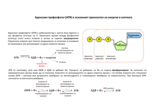 7+8 Енергия.pdf