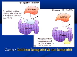Gambar.Gambar. Inhibitor kompetitif & non kompetitifInhibitor kompetitif & non kompetitif
 