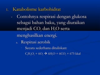 1.1. Katabolisme karbohidratKatabolisme karbohidrat
-- Contohnya respirasi dengan glukosaContohnya respirasi dengan glukosa
sebagai bahan baku, yang diuraikansebagai bahan baku, yang diuraikan
menjadi COmenjadi CO22 dan Hdan H22O sertaO serta
menghasilkan energi.menghasilkan energi.
a.a. Respirasi aerobikRespirasi aerobik
- Secara sederhana dituliskan:Secara sederhana dituliskan:
CC66HH1212OO66 + 6O+ 6O22  6H6H22O + 6COO + 6CO22 + 675 kkal+ 675 kkal
 