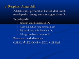 b. Respirasi Anaerobikb. Respirasi Anaerobik
- Adalah reaksi pemecahan karbohidrat untukAdalah reaksi pemecahan karbohidrat untuk
mendapatkan energi tanpa menggunakan Omendapatkan energi tanpa menggunakan O22..
- Terjadi pada:Terjadi pada:
1)1) Jaringan yang kekurangan OJaringan yang kekurangan O22,,
2)2) Akar tumbuhan yang terendam air,Akar tumbuhan yang terendam air,
3)3) Biji tebal yang sulit ditembus OBiji tebal yang sulit ditembus O22,,
4)4) Sel ragi dan bakteri anaerobik.Sel ragi dan bakteri anaerobik.
- Persamaan sederhananya:Persamaan sederhananya:
CC66HH1212OO66  2C2C22HH55OH + 2COOH + 2CO22 + 21 kkal+ 21 kkal
 