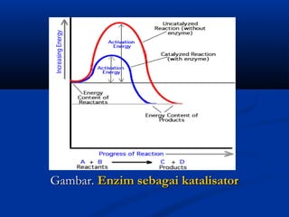 Gambar.Gambar. Enzim sebagai katalisatorEnzim sebagai katalisator
 