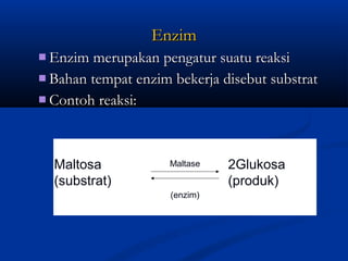 EnzimEnzim
 Enzim merupakan pengatur suatu reaksiEnzim merupakan pengatur suatu reaksi
 Bahan tempat enzim bekerja disebut substratBahan tempat enzim bekerja disebut substrat
 Contoh reaksi:Contoh reaksi:
Maltosa 2Glukosa
(substrat) (produk)
Maltase
(enzim)
 
