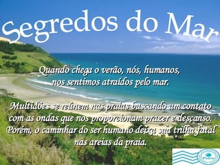 Segredos do Mar Quando chega o verão, nós, humanos,  nos sentimos atraídos pelo mar. Multidões se reúnem nas praias buscando um contato com as ondas que nos proporcionam prazer e descanso. Porém, o caminhar do ser humano deixa sua trilha fatal nas areias da praia. 