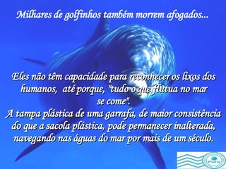 Milhares de golfinhos também morrem afogados...   Eles não têm capacidade para reconhecer os lixos dos humanos,  até porque, "tudo o que flutua no mar se come". A tampa plástica de uma garrafa, de maior consistência do que a sacola plástica, pode permanecer inalterada, navegando nas águas do mar por mais de um século. 