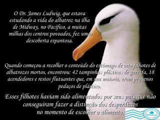 Quando começou a recolher o conteúdo do estômago de oito filhotes de albatrozes mortos, encontrou: 42 tampinhas plásticas de garrafa, 18 acendedores e restos flutuantes que, em sua maioria, eram pequenos pedaços de plástico.   O Dr. James Ludwig, que estava estudando a vida do albatroz na ilha de Midway, no Pacífico, a muitas milhas dos centros povoados, fez uma descoberta espantosa. Esses filhotes haviam sido alimentados por seus pais que não conseguiram fazer a distinção dos desperdícios no momento de escolher o alimento. 