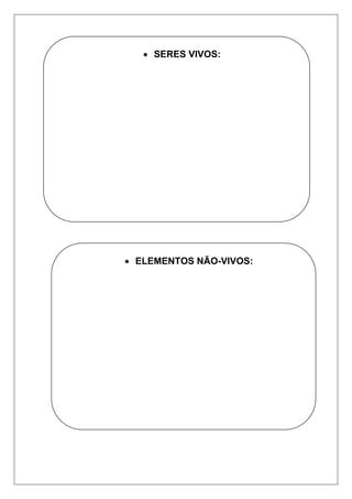  SERES VIVOS:
 ELEMENTOS NÃO-VIVOS:
 