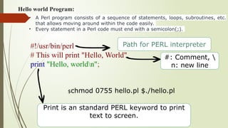781712684-VLSI-DESIGN-AUTOMATION-USING-PERL.pptx