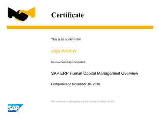 SAP ERP Human Capital Management Overview | PDF