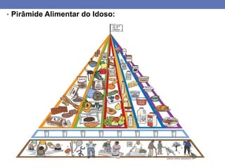 • Pirâmide Alimentar do Idoso:

 