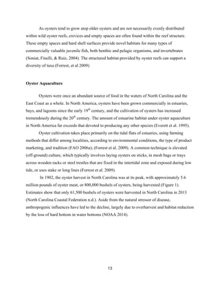 13
As oysters tend to grow atop older oysters and are not necessarily evenly distributed
within wild oyster reefs, crevices and empty spaces are often found within the reef structure.
These empty spaces and hard shell surfaces provide novel habitats for many types of
commercially valuable juvenile fish, both benthic and pelagic organisms, and invertebrates
(Soniat, Finelli, & Ruiz, 2004). The structured habitat provided by oyster reefs can support a
diversity of taxa (Forrest, et al 2009)
Oyster Aquaculture
Oysters were once an abundant source of food in the waters of North Carolina and the
East Coast as a whole. In North America, oysters have been grown commercially in estuaries,
bays, and lagoons since the early 19th
century, and the cultivation of oysters has increased
tremendously during the 20th
century. The amount of estuarine habitat under oyster aquaculture
in North America far exceeds that devoted to producing any other species (Everett et al. 1995).
Oyster cultivation takes place primarily on the tidal flats of estuaries, using farming
methods that differ among localities, according to environmental conditions, the type of product
marketing, and tradition (FAO 2006a); (Forrest et al. 2009). A common technique is elevated
(off-ground) culture, which typically involves laying oysters on sticks, in mesh bags or trays
across wooden racks or steel trestles that are fixed in the intertidal zone and exposed during low
tide, or uses stake or long lines (Forrest et al. 2009).
In 1902, the oyster harvest in North Carolina was at its peak, with approximately 5.6
million pounds of oyster meat, or 800,000 bushels of oysters, being harvested (Figure 1).
Estimates show that only 61,500 bushels of oysters were harvested in North Carolina in 2013
(North Carolina Coastal Federation n.d.). Aside from the natural stressor of disease,
anthropogenic influences have led to the decline, largely due to overharvest and habitat reduction
by the loss of hard bottom in water bottoms (NOAA 2014).
 