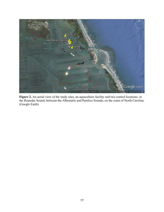 17
Figure 2. An aerial view of the study sites, an aquaculture facility and two control locations, in
the Roanoke Sound, between the Albemarle and Pamlico Sounds, on the coast of North Carolina.
(Google Earth)
 