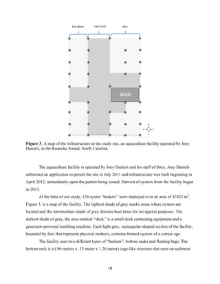 18
Figure 3. A map of the infrastructure at the study site, an aquaculture facility operated by Joey
Daniels, in the Roanoke Sound, North Carolina.
The aquaculture facility is operated by Joey Daniels and his staff of three. Joey Daniels
submitted an application to permit the site in July 2011 and infrastructure was built beginning in
April 2012, immediately upon the permit being issued. Harvest of oysters from the facility began
in 2013.
At the time of our study, 124 oyster “baskets” were deployed over an area of 47422 m2
.
Figure 3. is a map of the facility. The lightest shade of grey marks areas where oysters are
located and the intermediate shade of grey denotes boat lanes for navigation purposes. The
darkest shade of grey, the area marked “shed,” is a small dock containing equipment and a
generator-powered tumbling machine. Each light grey, rectangular-shaped section of the facility,
bounded by dots that represent physical markers, contains farmed oysters of a certain age.
The facility uses two different types of “baskets”: bottom racks and floating bags. The
bottom rack is a (.96 meters x .15 meter x 1.26 meter) cage-like structure that rests on sediment
 