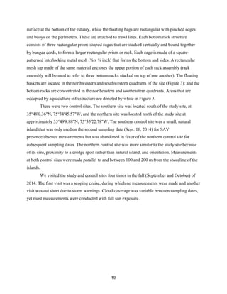 19
surface at the bottom of the estuary, while the floating bags are rectangular with pinched edges
and buoys on the perimeters. These are attached to trawl lines. Each bottom rack structure
consists of three rectangular prism-shaped cages that are stacked vertically and bound together
by bungee cords, to form a larger rectangular prism or rack. Each cage is made of a square-
patterned interlocking metal mesh (¾ x ¾ inch) that forms the bottom and sides. A rectangular
mesh top made of the same material encloses the upper portion of each rack assembly (rack
assembly will be used to refer to three bottom racks stacked on top of one another). The floating
baskets are located in the northwestern and southwestern quadrants of the site (Figure 3); and the
bottom racks are concentrated in the northeastern and southeastern quadrants. Areas that are
occupied by aquaculture infrastructure are denoted by white in Figure 3.
There were two control sites. The southern site was located south of the study site, at
35°48'0.36"N, 75°34'45.57"W, and the northern site was located north of the study site at
approximately 35°49'8.88"N, 75°35'22.78"W. The southern control site was a small, natural
island that was only used on the second sampling date (Sept. 16, 2014) for SAV
presence/absence measurements but was abandoned in favor of the northern control site for
subsequent sampling dates. The northern control site was more similar to the study site because
of its size, proximity to a dredge spoil rather than natural island, and orientation. Measurements
at both control sites were made parallel to and between 100 and 200 m from the shoreline of the
islands.
We visited the study and control sites four times in the fall (September and October) of
2014. The first visit was a scoping cruise, during which no measurements were made and another
visit was cut short due to storm warnings. Cloud coverage was variable between sampling dates,
yet most measurements were conducted with full sun exposure.
 