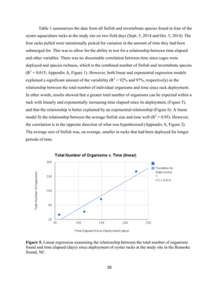 26
Table 1 summarizes the data from all finfish and invertebrate species found in four of the
oyster aquaculture racks at the study site on two field days (Sept. 5, 2014 and Oct. 5, 2014). The
four racks pulled were intentionally picked for variation in the amount of time they had been
submerged for. This was to allow for the ability to test for a relationship between time elapsed
and other variables. There was no discernable correlation between time since cages were
deployed and species richness, which is the combined number of finfish and invertebrate species
(R2
= 0.015; Appendix A, Figure 1). However, both linear and exponential regression models
explained a significant amount of the variability (R2
= 92% and 97%, respectively) in the
relationship between the total number of individual organisms and time since rack deployment.
In other words, results showed that a greater total number of organisms can be expected within a
rack with linearly and exponentially increasing time elapsed since its deployment, (Figure 5),
and that the relationship is better explained by an exponential relationship (Figure 6). A linear
model fit the relationship between the average finfish size and time well (R2
= 0.95). However,
the correlation is in the opposite direction of what was hypothesized (Appendix A, Figure 2).
The average size of finfish was, on average, smaller in racks that had been deployed for longer
periods of time.
Figure 5. Linear regression examining the relationship between the total number of organisms
found and time elapsed (days) since deployment of oyster racks at the study site in the Roanoke
Sound, NC.
 