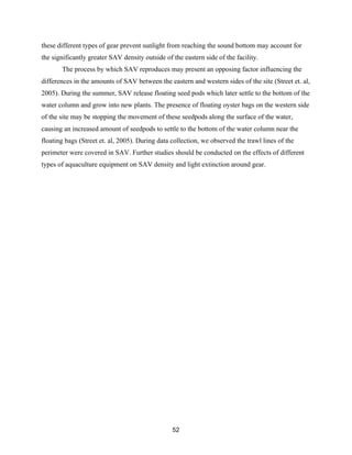 52
these different types of gear prevent sunlight from reaching the sound bottom may account for
the significantly greater SAV density outside of the eastern side of the facility.
The process by which SAV reproduces may present an opposing factor influencing the
differences in the amounts of SAV between the eastern and western sides of the site (Street et. al,
2005). During the summer, SAV release floating seed pods which later settle to the bottom of the
water column and grow into new plants. The presence of floating oyster bags on the western side
of the site may be stopping the movement of these seedpods along the surface of the water,
causing an increased amount of seedpods to settle to the bottom of the water column near the
floating bags (Street et. al, 2005). During data collection, we observed the trawl lines of the
perimeter were covered in SAV. Further studies should be conducted on the effects of different
types of aquaculture equipment on SAV density and light extinction around gear.
 