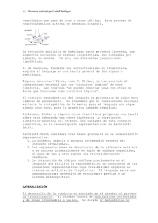 8/11 Resumen realizado por Isabel Saralegui.
neurológica que pasa de unas a otras células. Este proceso de
neurotransmisión alterna se denomina Sinapsis.
La tentación analítica de homologar estos procesos latentes, con
segmentos nucleares de cadenas lingüísticas, los sintagmas por
ejemplo, es enorme. De ahí, las diferentes proyecciones
hipotéticas.
F. de Saussure, fundador del estructuralismo en lingüística,
engloba al lenguaje en una teoría general de los signos o
semiologia.
Algunos neurocientíficos, como S. Pinker, ya han asociado el
conexionismo neuronal con los “circuitos lógicos” de base
binatoria. Las neuronas “se pueden conectar unas con otras de
forma que funcionen como circuitos lógicos”.
El instinto neurogenético del lenguaje ya procesaría de algún modo
cadenas de pensamiento. Es indudable que el conexionismo neuronal
estimula la sintagmática de la mente, pero el lenguaje aún sigue
siendo otra cosa, pues la gramática también significa.
Bickerman, Pinker y algunos otros científicos proyectan una teoría
sobre otra esbozando una nueva hipótesis: la correlación
sintáctico-genética del cerebro. Una variante de esta conexión
científica, es la redescripción representacional de Karmiloff-
Smith.
Karmiloff-Smith considera tres fases graduales en la redescripción
representativa:
1. La primera, asimila o apropia información externa del
contexto situacional.
2. Las representaciones se desvinculan de su referente externos
y se activan cotextualmente en razón de códigos espaciales,
el paso de uno a otro supone una retroalimentación –
feedback-
3. La interacción de códigos confluye precisamente en el
lenguaje que facilita la representación ya consciente de las
conexiones representativas cuya flexibilidad orgánica se
traduce en articulación lingüística. El lenguaje seria una
supraestructura conectiva de estructuras previas o un
sistema metacognitivo.
LATERALIZACIÓN
El desarrollo de la conducta va asociado en el cerebro al proceso
de lateralización. El cerebro consta de ondulaciones encrestadas
y de zonas intermedias o valles. Se divide en hemisferios no
 