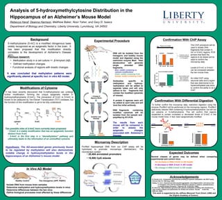 Analysis of 5-hydroxymethylcytosine Distribution in the
Hippocampus of an Alzheimer’s Mouse Model
Rebecca Haraf, Deanna Harrison, Matthew Baker, Noor Taher, and Gary D. Isaacs
Department of Biology and Chemistry, Liberty University, Lynchburg, VA 24502
Modifications of Cytosine
Two possible roles of 5-hmC have currently been proposed:
• 5-hmC is a stable modification that has an epigenetic function
distinct from 5-mC
• 5-hmC is the first step in a “demethylation” pathway and
ultimately leads to the reformation of an unmodfied cytosine
TET1
TET2
TET3
O2
DMNTs
cytosin
e
5-mC 5-hmC
It has been recently discovered that 5-methylcytosine can undergo
further modification, forming the unique epigenetic marker 5-
hydroxymethylcytosine (5-hmC). The conversion of 5-mC to 5-hmC is
known to be catalyzed by Ten-Eleven Translocation (TET) oxidases, but
the function of this modification is yet to be fully understood.
Hypothesis: The AD-associated genes previously found
to be regulated by methylation will also demonstrate
notable change in hydroxymethylation levels in the
hippocampus of an Alzheimer’s mouse model.
In Vivo AD Model
Two transgenes (APP, PSEN1)Healthy Control
•Isolate DNA from mouse brain samples
•Determine methylation and hydroxymethylation levels in mice
•Determine differences between the two mice
•Define biological processes most affected by these differences
5-methylcytosine (5-mC) is a modified nitrogenous base
widely recognized as an epigenetic factor in the brain. It
has been proposed that this modification directly
correlates to the development of Alzheimer’s Disease
(AD).
Background
It was concluded that methylation patterns were
significantly altered at specific loci in vitro AD model.
Previous research:
• Methylation study in a cell culture +/- β-Amyloid (Aβ)
• Defined methylation changes
• Functional analysis of regions with drastic changes
• 20,404 annotated promoters
• 15,980 CpG islands
Microarray Description
DNA will be isolated from the
transgenic and healthy mouse
model and digested using the
restriction enzyme MseI. Heat
denaturation will generate
single stranded DNA
fragments.
Blue: ssDNA containing no
cytosine modifications
Green: ssDNA containing 5-mC
Orange: ssDNA containing 5-hmC
Experimental Procedure
Antibodies specific to
methylation and hydroxy-
methylation will be added to
separate tubes and will only
adhere to the fragments that
contain the modified cytosines
of interest.
A protein A agarose resin will
be added to each tube and will
bind the initial antibody.
DNA fragments containing
modified cytosines will be
isolated from the sample and
amplified by RT-PCR.
Confirmatio
n with ChIP
and PvuRts
1I
Control
Transgenic
Purified hippocampal DNA from our ChIP assay will be
hybridized to promoter microarrays (NimbleGen). The
microarrays contain:
Microarray Distribution
of 5-hmC
Microarray Distribution
of 5-hmC
The results from each
mouse will be compared in
order to assess the
epigenetic changes
associated with Alzheimer’s
Disease.
Expected Outcomes
Several classes of genes may be defined when comparing
experimental and control mice:
• An increase in DNA 5-hmC in AD model
• A decrease in DNA 5-hmC in AD model
• No change in DNA 5-hmC in AD model
Acknowledgements
B. Khulan et al., Comparative isoschizomer profiling of cytosine methylation: the HELP assay.
Genome Res 16, 1046 (Aug, 2006).
M. Oda et al., High-resolution genome-wide cytosine methylation profiling with simultaneous
copy number analysis and optimization for limited cell numbers. Nucleic Acids Res 37,
3829 (Jul, 2009).
This work is supported by the Jeffress Memorial Trust (Grant J-998) and
the Virginia Academy of Science.
Oakley, H., et al., Intraneuronal beta-amyloid aggregates, neurodegeneration, and neuron loss
in transgenic mice with five familial Alzheimer's disease m utations: potential factors
in amyloid plaque formation. J Neurosci 26, 10129 (Oct. 2006).
The ChIP procedure will be
used to isolate DNA
fragments that contain 5-
mC or 5-hmC regions. PCR
primers that flank the
regions to be tested will be
used to confirm the
microarray data.
Levels of 5-mC or 5-hmC
can be compared between
the two mouse lines.
An initial ChIP using
neuronal cells and a region
that was determined to be
hypermethylated was done
to confirm the ability to do a
ChIP.
Projects a loss of
hydroxymethylatio
n in transgenic
Demonstrates pull-
down of specific
DNA sequence
due to methylation
Region to be tested
NA
NA NA5-hmC 5-hmC
Control Transgenic
IncreasingDNA
FoldEnrichment
Confirmation With Differential Digestion
To further confirm the microarray data, restriction digestion using the
enzyme PvuRts1I will be performed on the microarray regions. PvuRts1I
selectively cleaves DNA containing 5-hydroxymethylcytosine, but will not
cut cytosine or 5-methylcytosine. This will confirm that regions
suspected to contain increased or decreased levels of 5-hmC in the
mouse model have, in fact, been epigenetically modified.
C C G G
G G C C
Gene Y
No Enzyme
Gene X
FoldEnrichment
No Enzyme
Gene Y
FoldEnrichment
C C G G
G G C C
Gene X
5-hm
C
5-hm
C
 