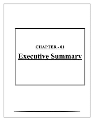 1
CHAPTER - 01
Executive Summary
 