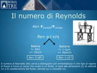 Presentazione | PPTX