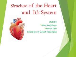 Structure of the Heart
and It’s System
Made by:
Mirza Naadirhasan
Memon Zahir
Guided by : Dr Siavash Hosseinpour
 