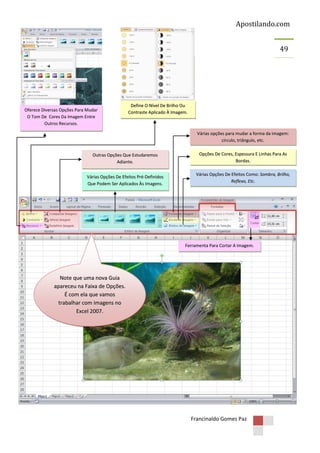 Apostilando.com
49

Oferece Diversas Opções Para Mudar
O Tom De Cores Da Imagem Entre
Outros Recursos.

Define O Nível De Brilho Ou
Contraste Aplicado À Imagem.

Várias opções para mudar a forma da imagem:
círculo, triângulo, etc.
Outras Opções Que Estudaremos
Adiante.
Várias Opções De Efeitos Pré-Definidos
Que Podem Ser Aplicados Às Imagens.

Opções De Cores, Espessura E Linhas Para As
Bordas.
Várias Opções De Efeitos Como: Sombra, Brilho,
Reflexo, Etc.

Ferramenta Para Cortar A Imagem.

Note que uma nova Guia
apareceu na Faixa de Opções.
É com ela que vamos
trabalhar com imagens no
Excel 2007.

Francinaldo Gomes Paz

 
