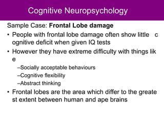 Cognitive Neuropsychology
Sample Case: Frontal Lobe damage
• People with frontal lobe damage often show little c
ognitive deficit when given IQ tests
• However they have extreme difficulty with things lik
e
–Socially acceptable behaviours
–Cognitive flexibility
–Abstract thinking
• Frontal lobes are the area which differ to the greate
st extent between human and ape brains
 