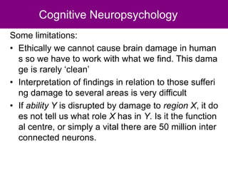 Cognitive Neuropsychology
Some limitations:
• Ethically we cannot cause brain damage in human
s so we have to work with what we find. This dama
ge is rarely ‘clean’
• Interpretation of findings in relation to those sufferi
ng damage to several areas is very difficult
• If ability Y is disrupted by damage to region X, it do
es not tell us what role X has in Y. Is it the function
al centre, or simply a vital there are 50 million inter
connected neurons.
 