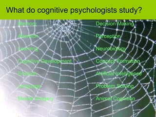 What do cognitive psychologists study?
Memory Decision Making
Attention Perception
Learning Neurobiology
Cognitive Development Concept Formation
Emotion Artificial Intelligence
Language Problem Solving
Mental Imagery Animal Cognition
 