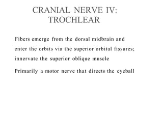 CRANIAL NERVE
TROCHLEAR
Fibers emerge from the dorsal midbrain and
enter the orbits via the superior orbital fissures;
innervate the superior oblique muscle
Primarily a motor nerve that directs the eyeball
 